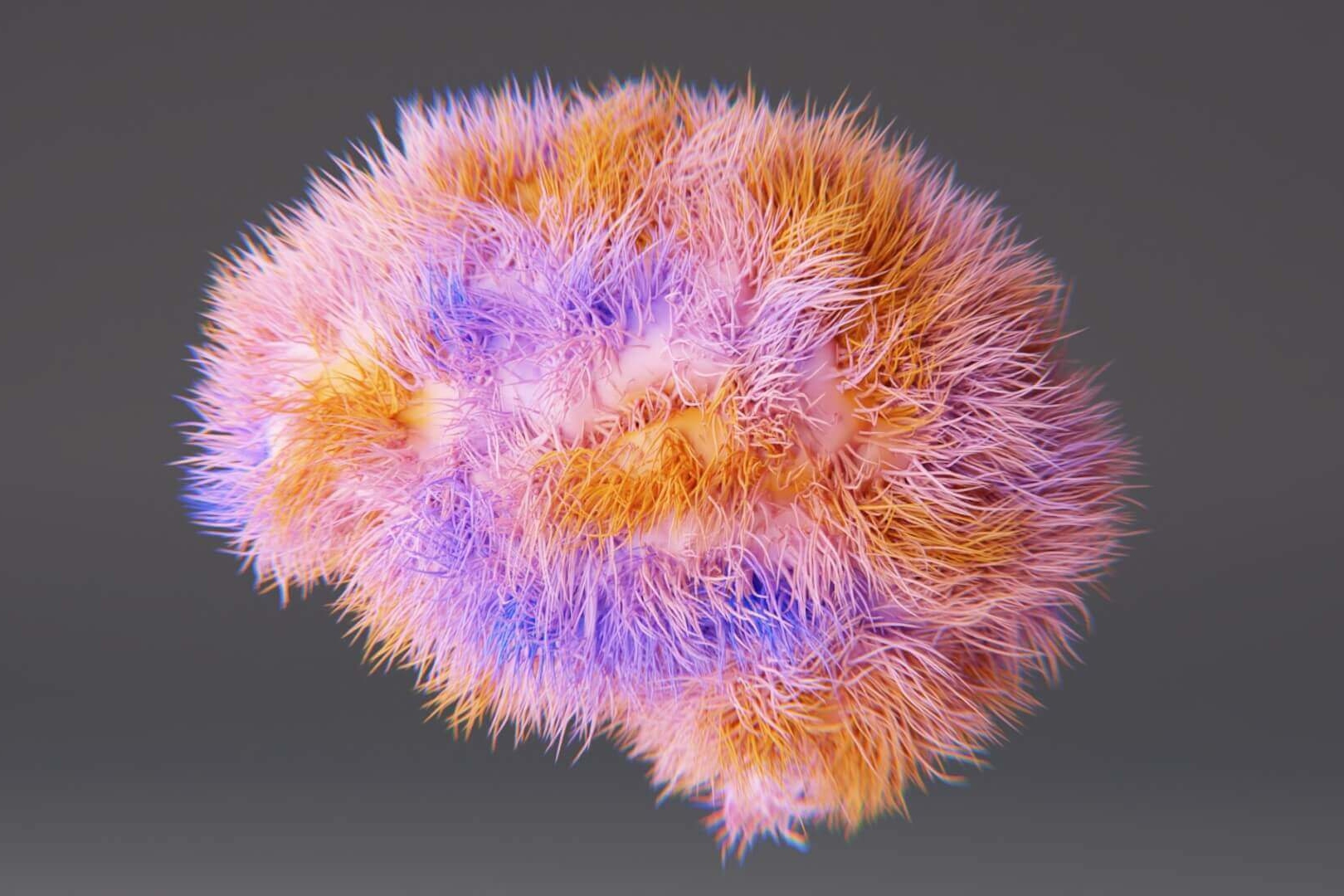 This is an artistic image of a brain, showing hair fibres.